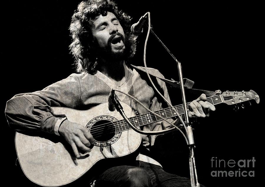 cat stevens last tour